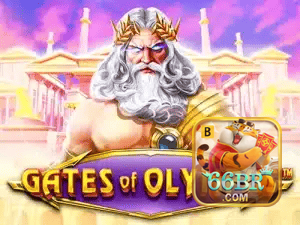 66BR BET APP mobile iOS Android - 187 mil downloads São Paulo Rio BH